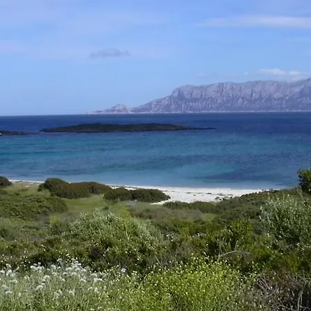 Apartment Spiaggia Lo Squalo Olbia